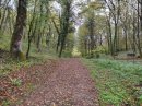Bois St-Clair